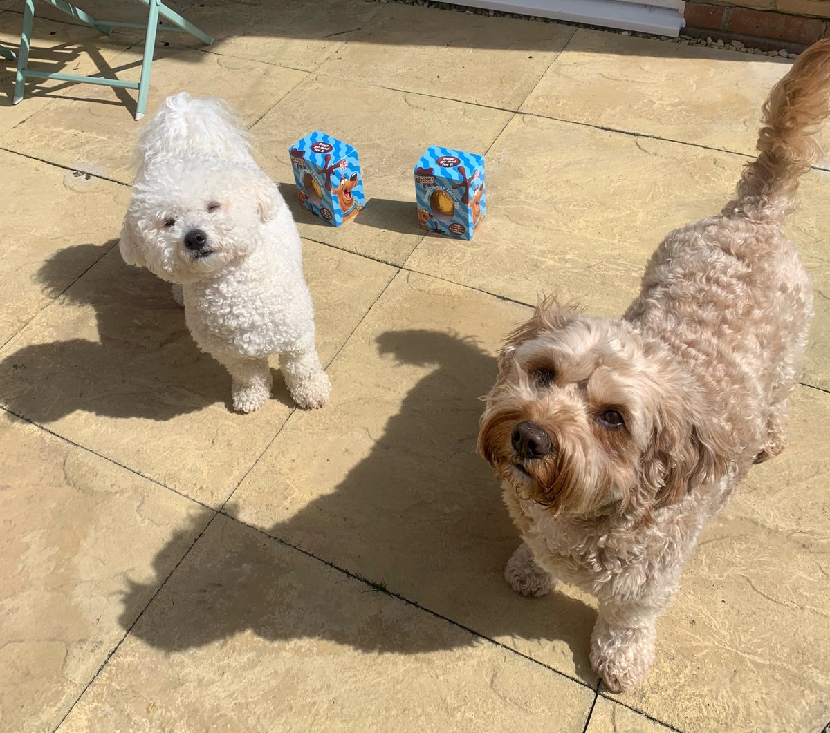 Happy Easter pals!!! Looking forward to catching up with you all 🐰🐰