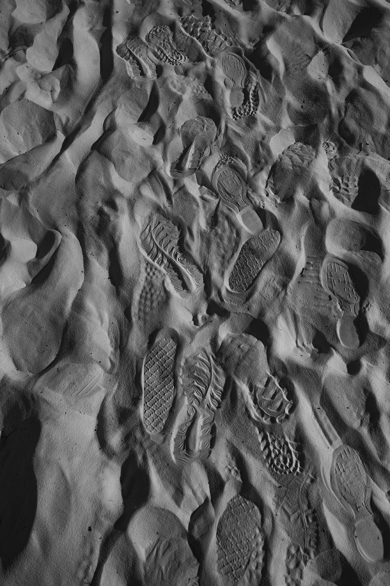 DMartinezImages's tweet photo. Almost to the end of my 5th month in this space. Proud of me 😍 proud of you!! ❤️❤️❤️ for putting up with me! 😂😂#NFTCommunity #nftfam #NFTphotographers #bwcrew #blackandwhitephotography #WomeninNFTs https://t.co/fwdEpq5fYB
