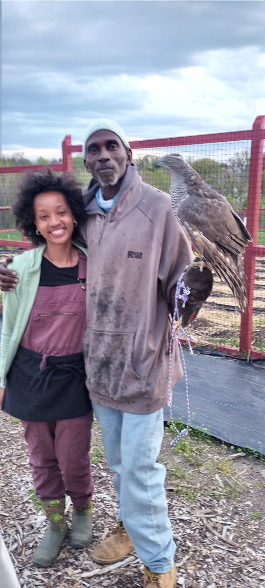 Had a blast at Backyard Basecamp with a Atiya Wells down in Baltimore. Took Denise the goshawk and she had a screaming good time also LOL
#RodneysRaptors 
#DippysDream 
#BigChuck