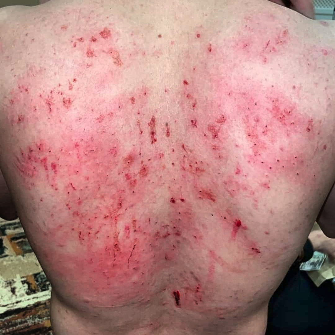 H0lyskitz's tweet photo. #tacked @FrontlinePro1 #HonorBound https://t.co/u1V2VzwPvV