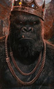 grossergrinch's tweet photo. #LIKEapp marcello_bello78 is broadcasting a Magic Live, come and join in!https://t.co/cD6SI9jH27 https://t.co/bWJNhnh4rj