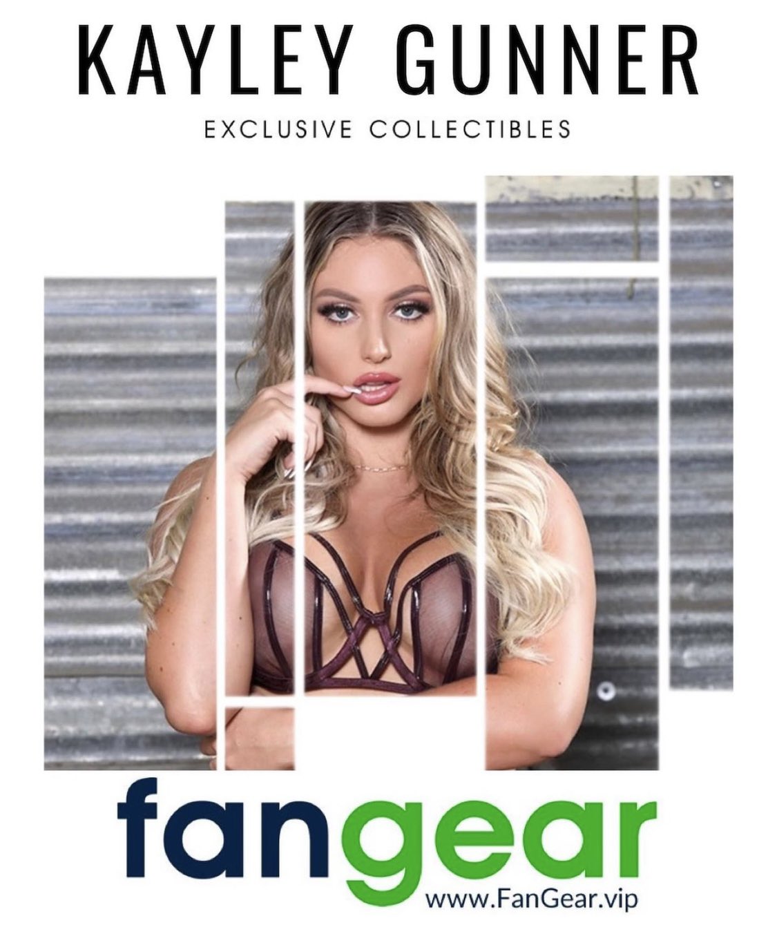 kayley-gunner-on-twitter-exclusive-merch-collectors-calendar-and