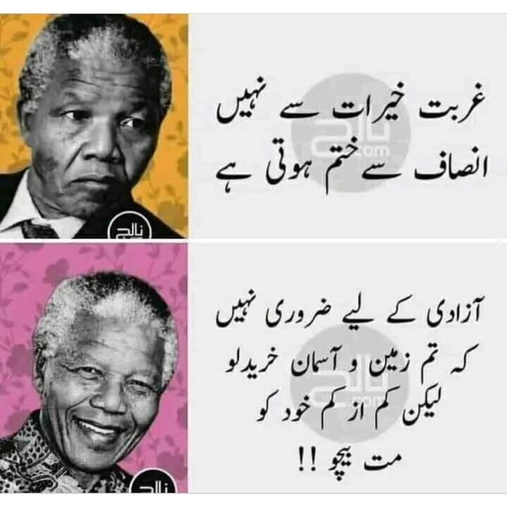 gulsohan_gul's tweet photo. https://t.co/It0ZMwNtad