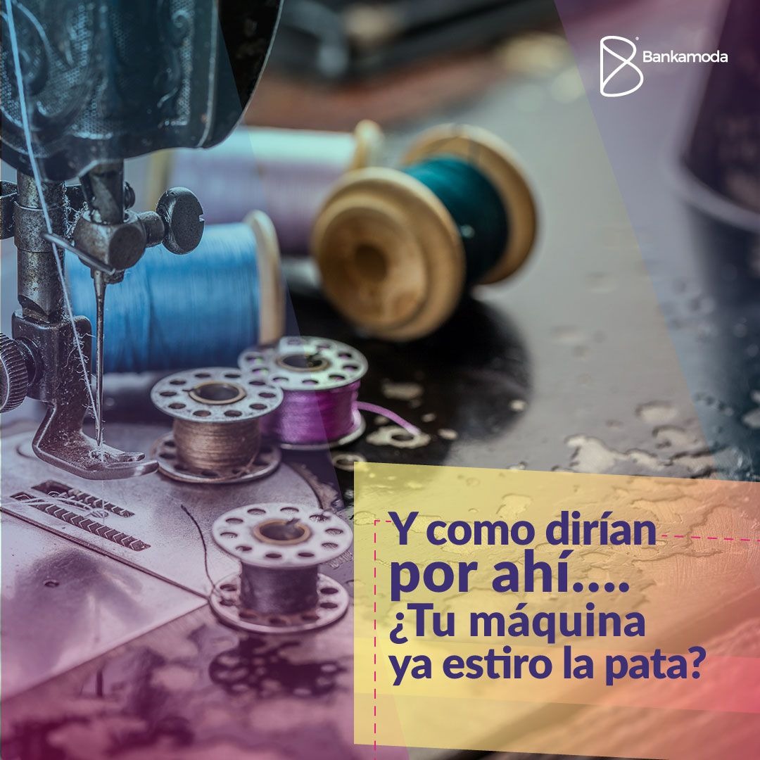 bankamoda's tweet image. Transformoda renueva tu maquinaria con lo último en tecnología. 

Dale lo mejor a tu empresa ingresa a
bankamoda.com y conoce como lograrlo

#maquinaria #Bankamoda #Tecnologia #empresas