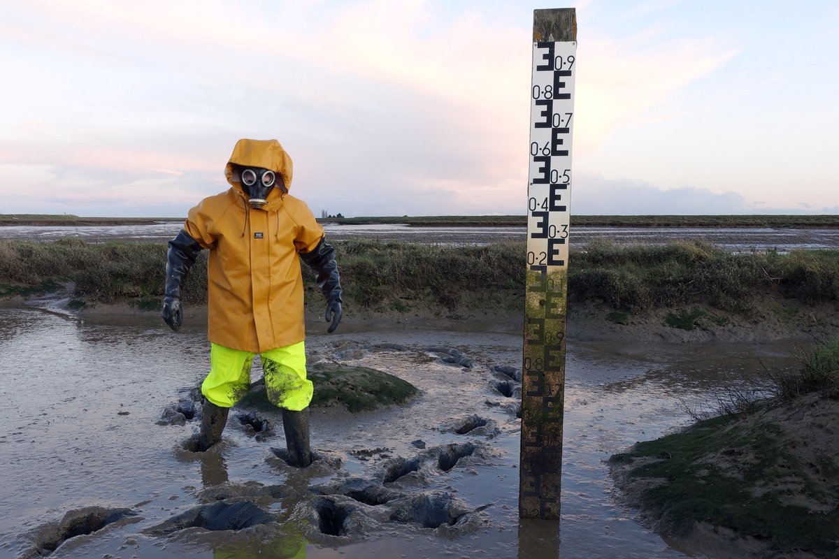 Saltmarsh Drifter (@S_MarshDrifter) / Posts / X
