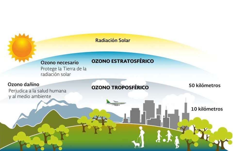 La Marea Verde Sant Adrià de Besòs tweet media