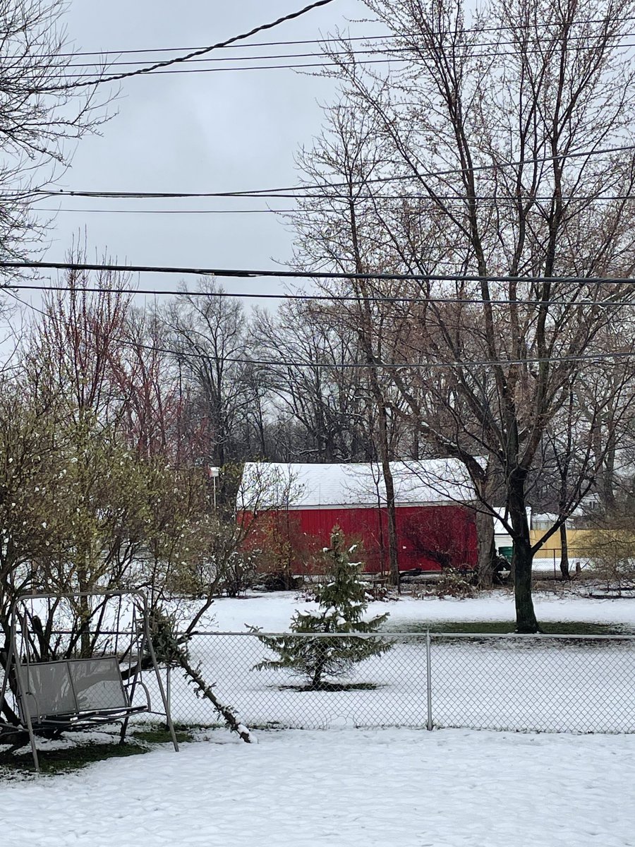 BrightBlueStang's tweet photo. #SpringinMichigan π¨ https://t.co/FdCni588Ms