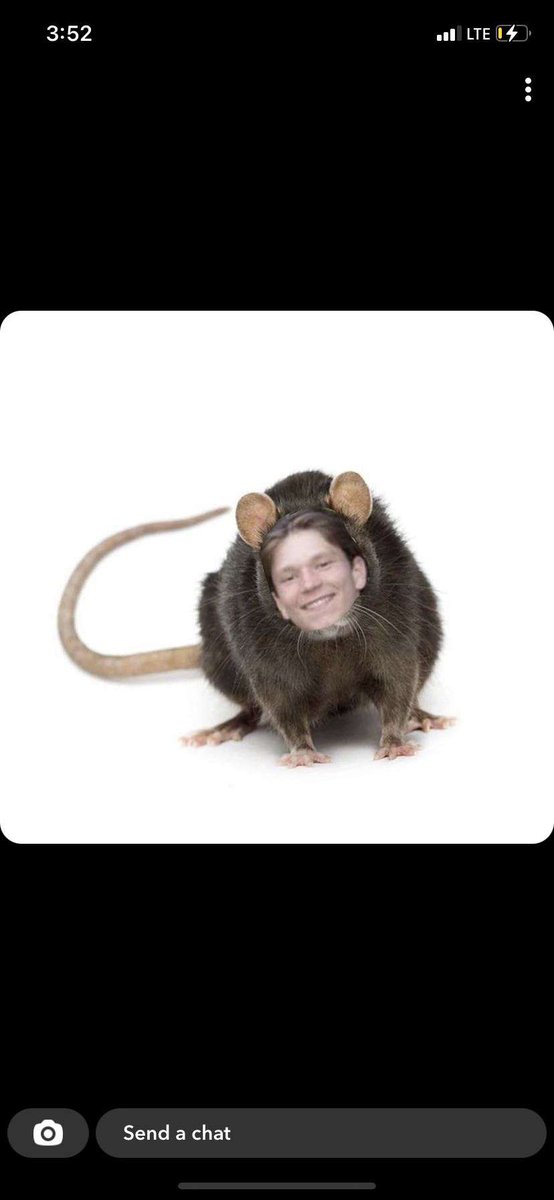 Htownsquirters's tweet photo. someone called the exterminators https://t.co/1DUjdHsBRr