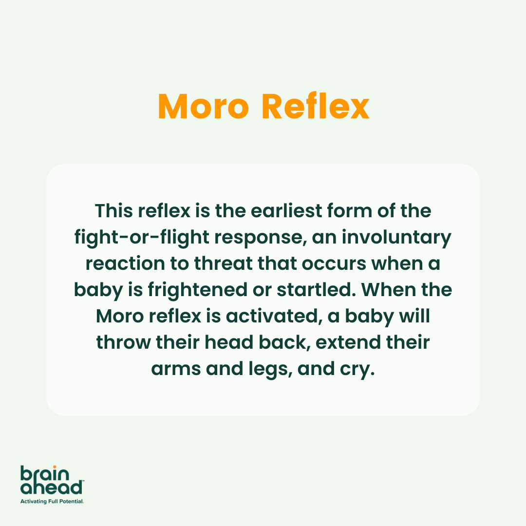 BrainAhead_'s tweet photo. These are some of the most common reflexes! Check back tomorrow for tips on how to address retained primitive reflexes. #edtech #brainahead #edtechbridge #neuroscience https://t.co/ICeVGcKJ6V