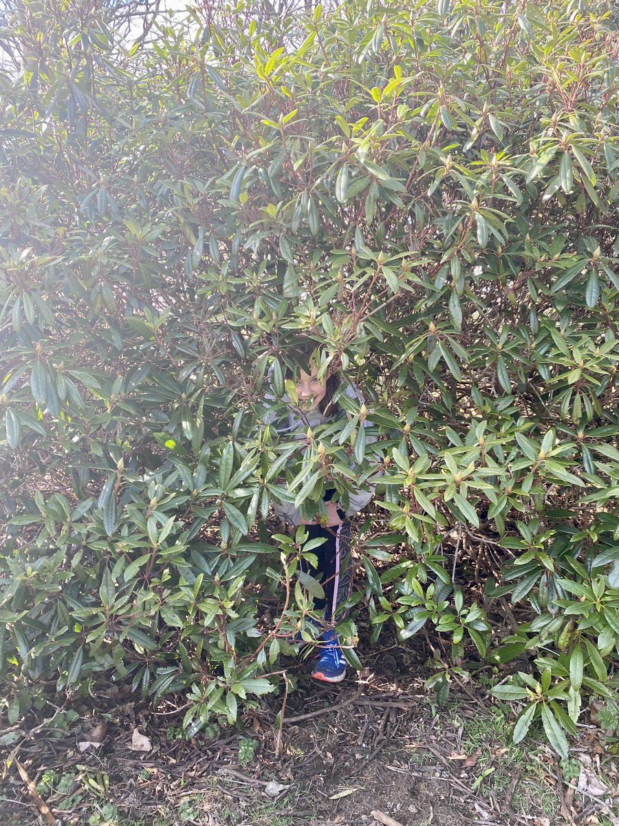 MissBellEnglish's tweet photo. First session back with @MintlawAcademy Cluster Athletics Club this afternoon! A great run to Aden for some hide and seek tag - we even made a pal on the way back who decided to join us for a wee jog 🐱☀️🏃‍♀️🏃 #MintlawFamily https://t.co/Fvnq8gRgzM