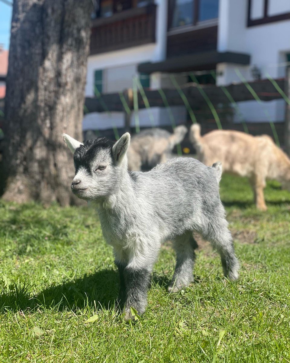 Frohe Ostern aus Oberstdorf ☀️