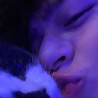 kitten #NewProfilePic