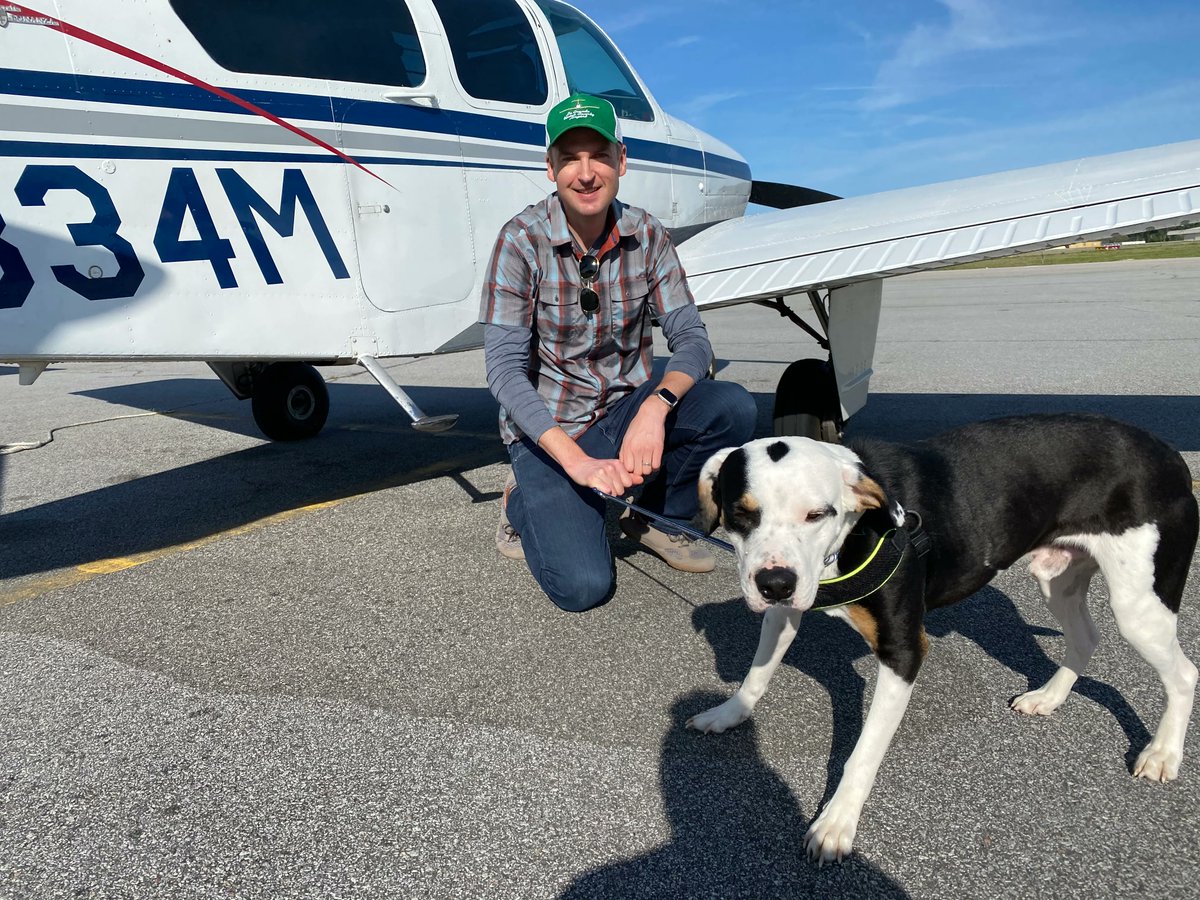 PilotsNPaws's tweet photo. Maverick needed a home after his foster family in South Carolina got into a car accident. Huge thank you to Pilot Erik for volunteering to fly Maverick from SC to Virginia Beach, where his new foster family was waiting for him🐾
#pilotnpaws #RescueDogs #pnp https://t.co/5iPbFCHpkG