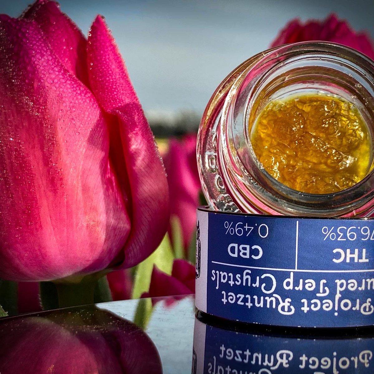 Artifact Extracts tweet media