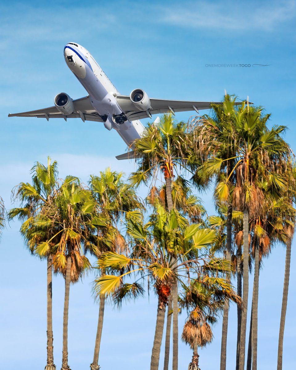 China Airlines 777 popping up over a row of palm trees at @flyLAXairport! #boeing #boeing777 #aviation #airline #aviationphotography