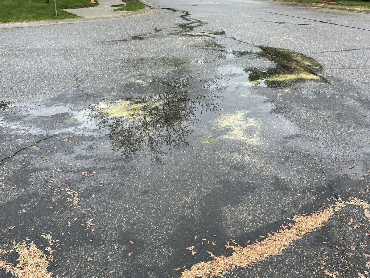 TanyaRiveraOn2's tweet photo. Just when you thought all that rain washed the pollen away….
#waitingforme #Ncwx https://t.co/oA0bHTZhET