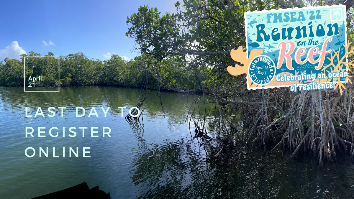 #FMSEA22 is just ten days away! Join us in the #FloridaKeys! Register NOW at fmsea.org 

#marinescienceeducation #nmea #nsta
