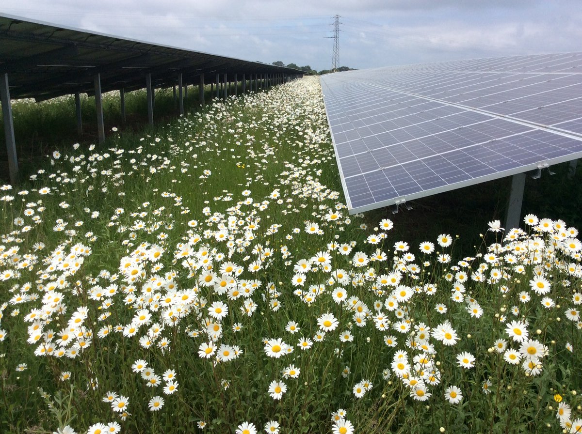 CleanChoice's tweet photo. With #communitysolar, you can receive some of the financial benefits of #solarpower without worrying about the hassles of ownership. #solaredweek
Find out more about Community Solar in your area: https://t.co/QQ8UyBVaLo https://t.co/j5miwlFavH