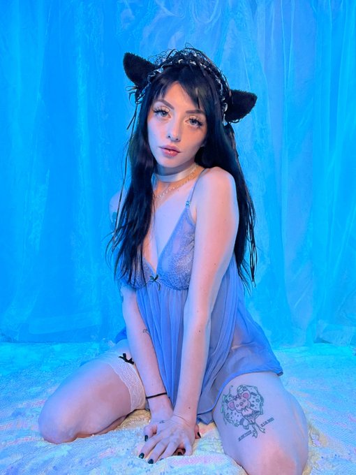 This kitten is ready to play 🐾 https://t.co/14v3NH8MOt