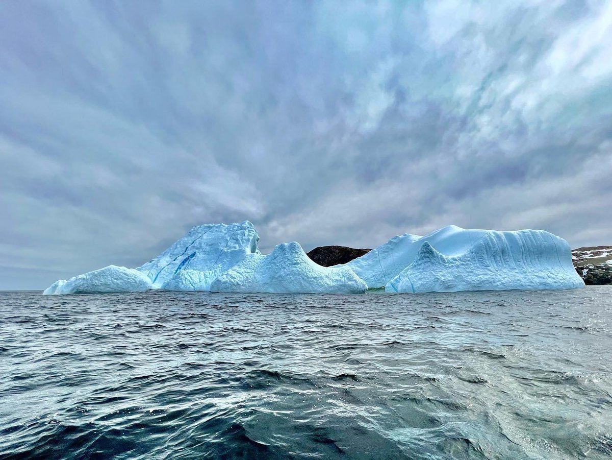 Spotted in Twillingate this weekend by <a href="/twillingate/">TwillingateAdvTours</a>. 

#IcebergsNL #ExploreNL