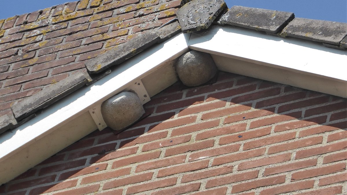 Een ladder gevonden die hoog genoeg was.
We hebben eindelijk twee kunstnestjes voor huiszwaluwen hangen. Nu de huiszwaluwen zelf nog. Spannend... #huiszwaluw