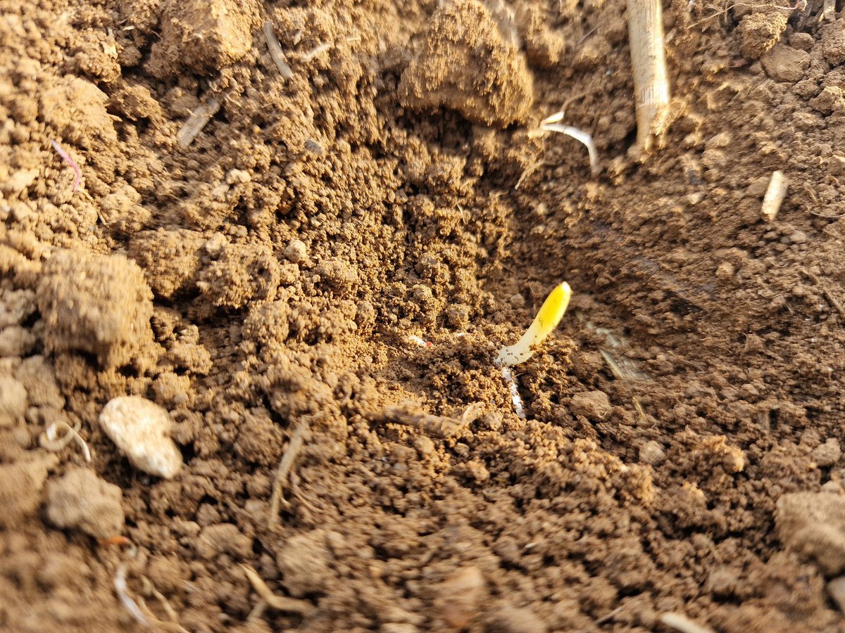 Samuel Merceron tweet media