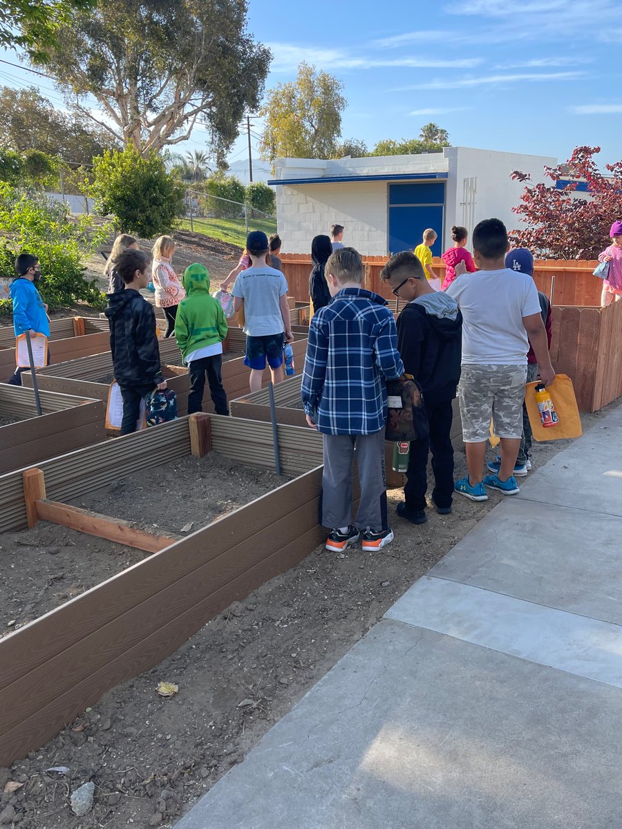 KainsLions's tweet photo. Enjoying @CamHeightsSTEM Outdoor classroom today!@PVSDCamarillo worked hard over the break and we were greeted with these benches and new garden boxes! #chsaroars 🥰 https://t.co/uIx0M1qcrF