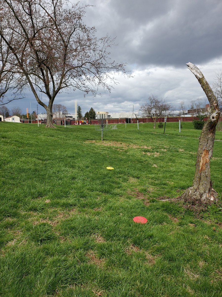 Trystan Blank tweet media