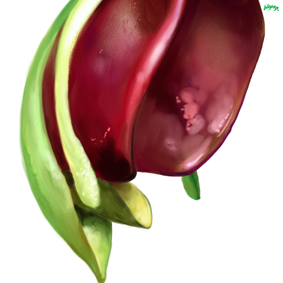 Flying Duck Orchid (digitale Malerei). Übermorgen beginnt die #Ausstellung in der #Cigarettenfabrik in #Zürich. Infos auf biopop.ch