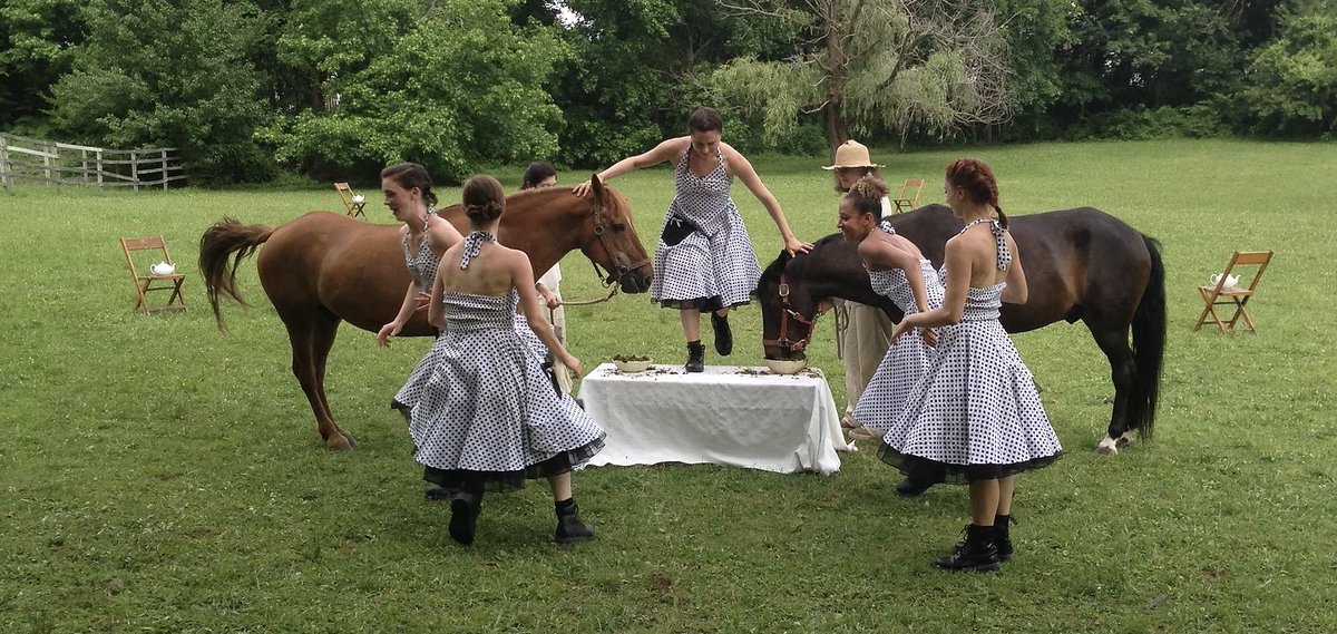 EquusProjects's tweet image. Today is the performance day!!

MAJODA PERFORMANCE
At Majoda Stables in Moorestown, NJ
Free Entry
2 pm
Featuring a beautiful cast of riders, Equines, and dancers. We&apos;re fortunate for this day and we are so excited to see you there 🐎😁