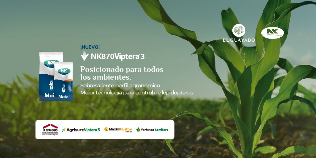 ElGuayaboSrl's tweet photo. #Maíz 🌽
✔ NK 870 VIP3
@NKSemillas
Lo tenemos 🙋🏻♂️🙋🏻♀️
📲 Reserva tu #BolsaNK
#ElGuayabo 🌳
#PreCampañaMaíz 🌽
#NKRinde 🔝 #NK870Vip3
#ImpulsandoLaInnovación 🚀
#Producción #SantaFe 🇦🇷 https://t.co/EKteWAsgqP
