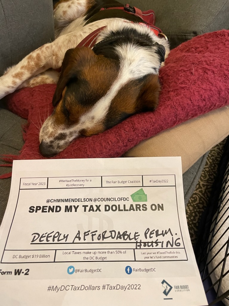 WashLegalClinic's tweet image. This staffer &amp;amp; pup say spend #MyDCTaxDollars on deeply affordable housing. @FairBudgetDC @ChmnMendelson @BrianneKNadeau @RobertWhite_DC @trayonwhite @tweetelissa @CMLewisGeorgeW4 @CMBrookePinto @marycheh @kenyanmcduffie @VinceGrayWard7 @AnitaBondsDC  @chenderson @charlesallen