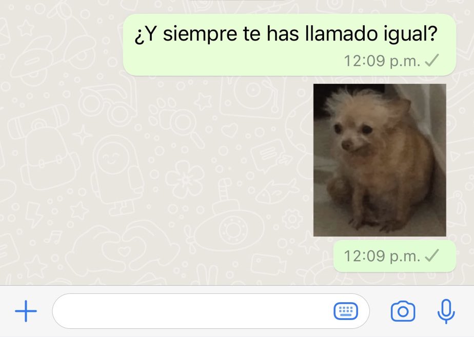 yo intentando sacar charla