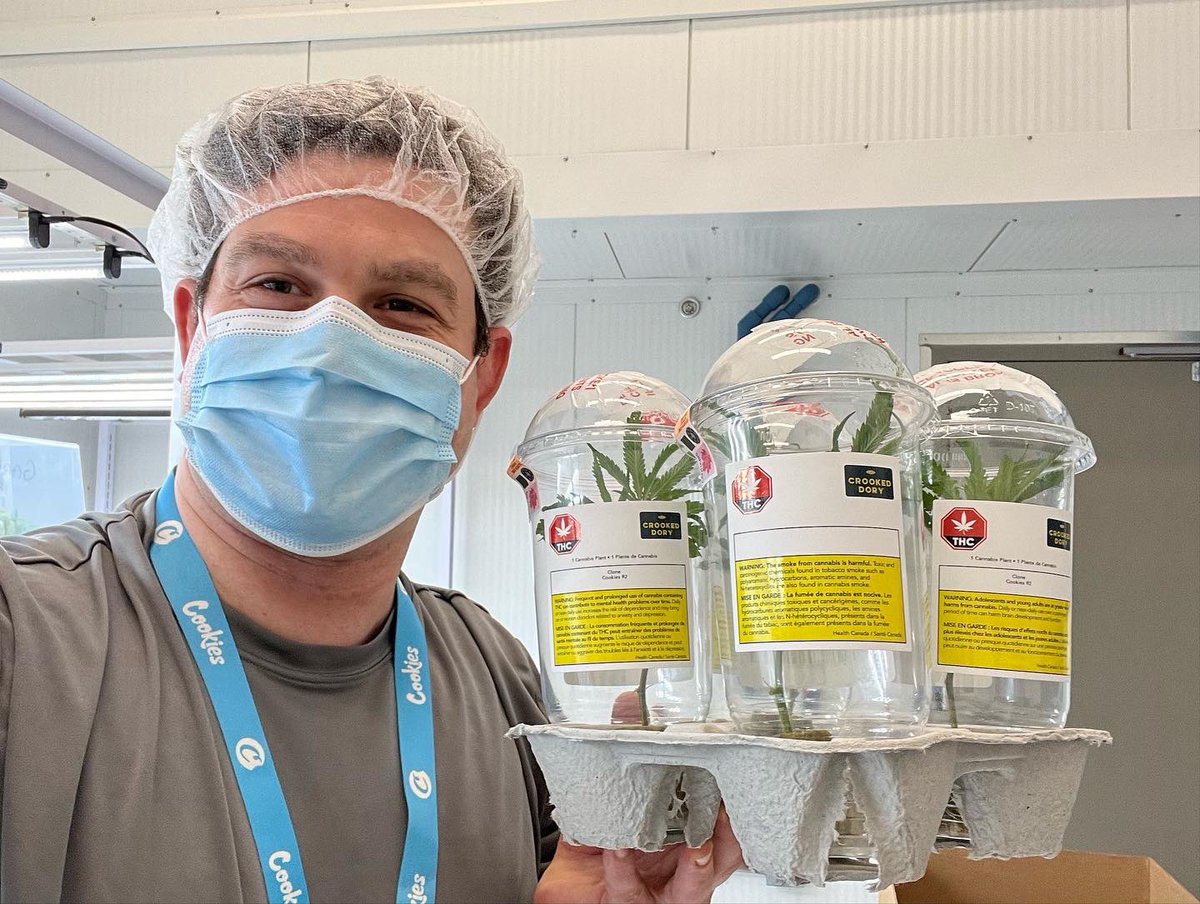 ccatlanticnl's tweet photo. The @AtlCultivation team is making history and having lots of fun with this special @crookeddory 🚨drop🚨we are selling live clones in our retail locations! This first cultivar drop is Cookies R2 breed by the Ethos genetics team🔥 Happy Monday🙌 https://t.co/aRudcbsAMJ
