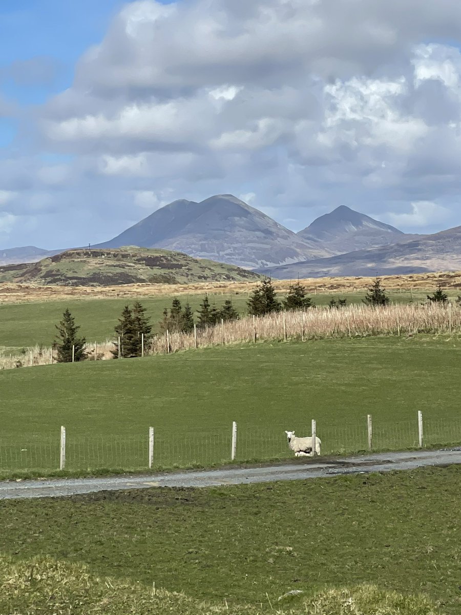 ComeSeeScotland's tweet photo. Always great to be back on #Islay. Even better when I get to share it with guests. Shoulders have dropped and I’m on #islaytime. #professionaltourguide @STGAGuides #glenroad #towardsjura https://t.co/Hak4cyCnwZ