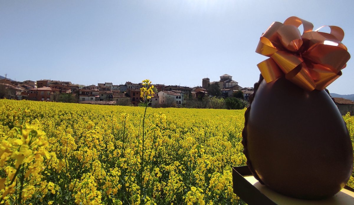marc_esteve's tweet photo. Bona mona !!!
#Tortellà
🐤🐤🐤🐤
#monadepascua
#monadepasqua
🐤🐤🐤🐤
#xocolata #oudexocolata
#Garrotxa #Girona #Olot https://t.co/rHnKq5D0so