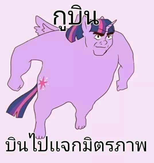 เจ้ดสาม ft cms dm tweet media