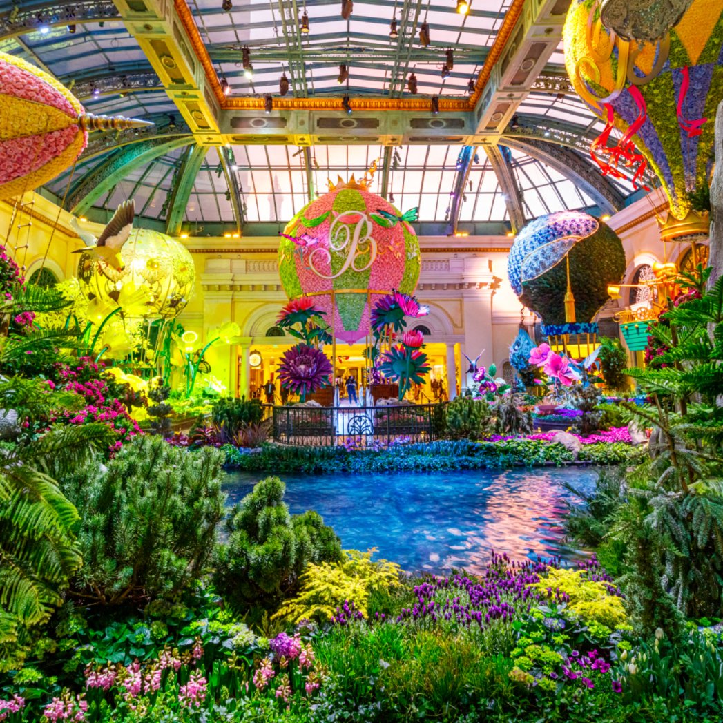 Vegas's tweet photo. Why wait for May flowers when you can see these lovelies in April @Bellagio 🌸🌼🌺 https://t.co/dIEIJjvQgm