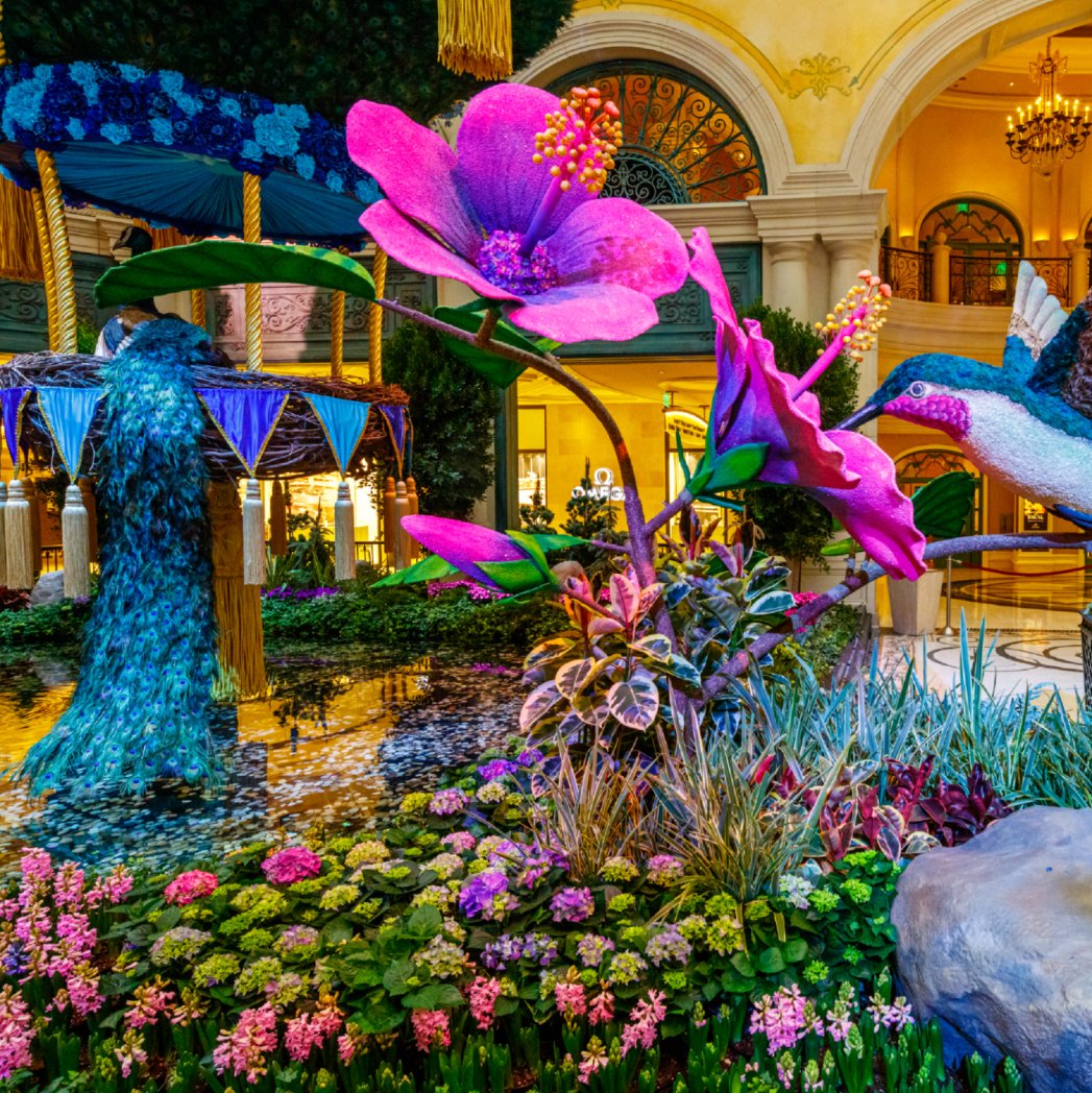 Vegas's tweet photo. Why wait for May flowers when you can see these lovelies in April @Bellagio 🌸🌼🌺 https://t.co/dIEIJjvQgm