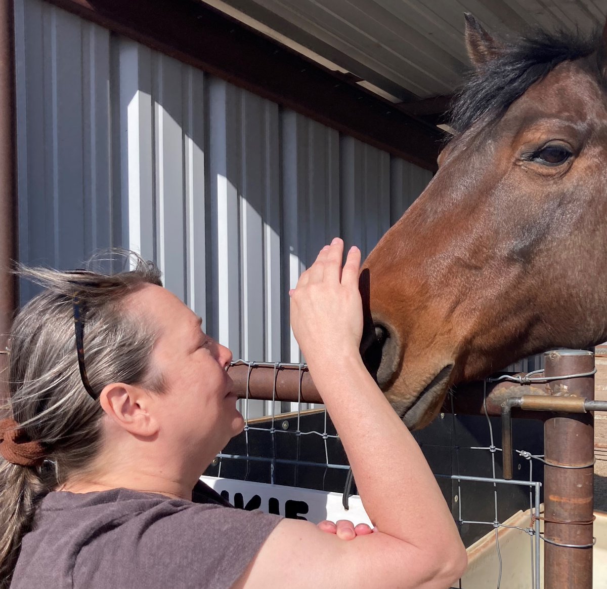 usvetsprescott's tweet photo. We are excited to start a six-week equine therapy program with Horses With Heart in Chino Valley. We visited their site and got to meet their horses. 💜

#usvetsprescott   @horseswithheart   #equinetherapy https://t.co/WiBYp5mjSo