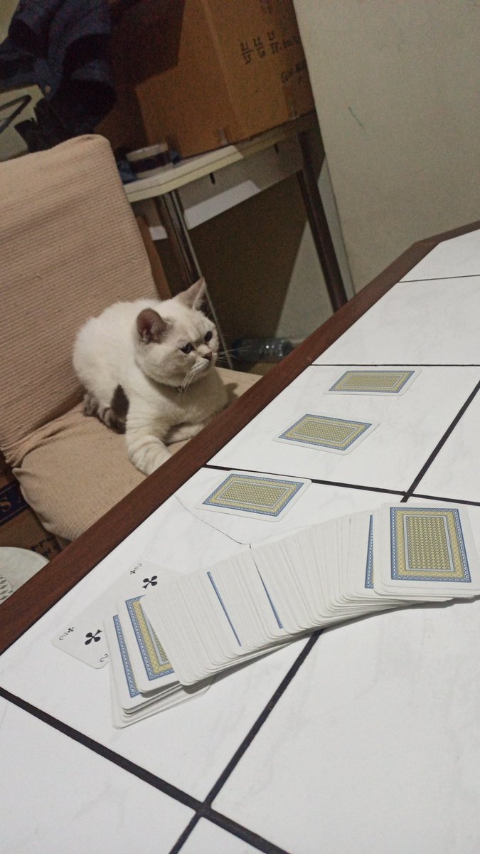 Süper 51 de bu geceki ortak