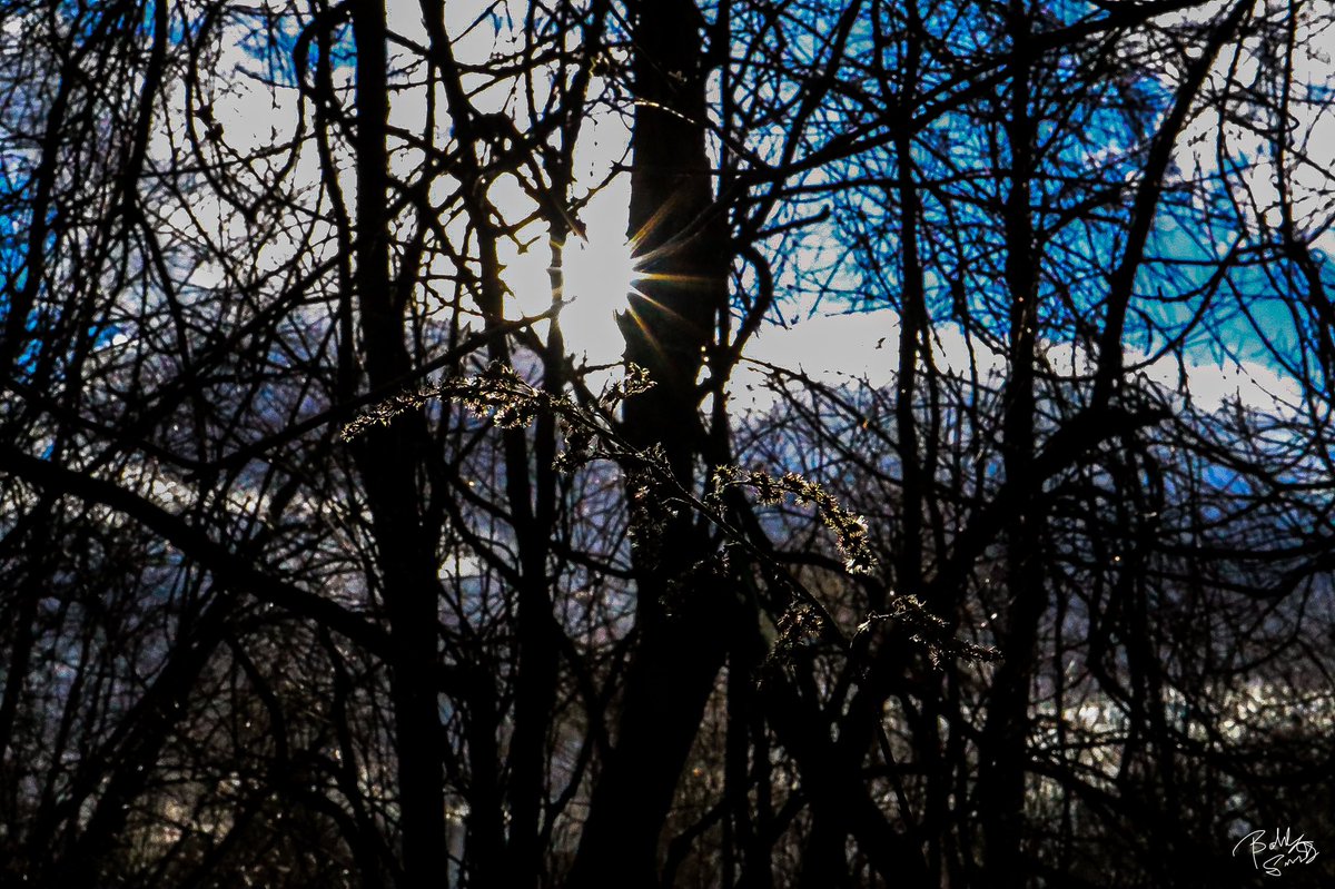 ob_smith's tweet image. #SunPictures #sunsetphotography #Sunday #Easter #EasterRetreat2022 #artist #ArtistOnTwitter #nature #NaturePhotography #photography