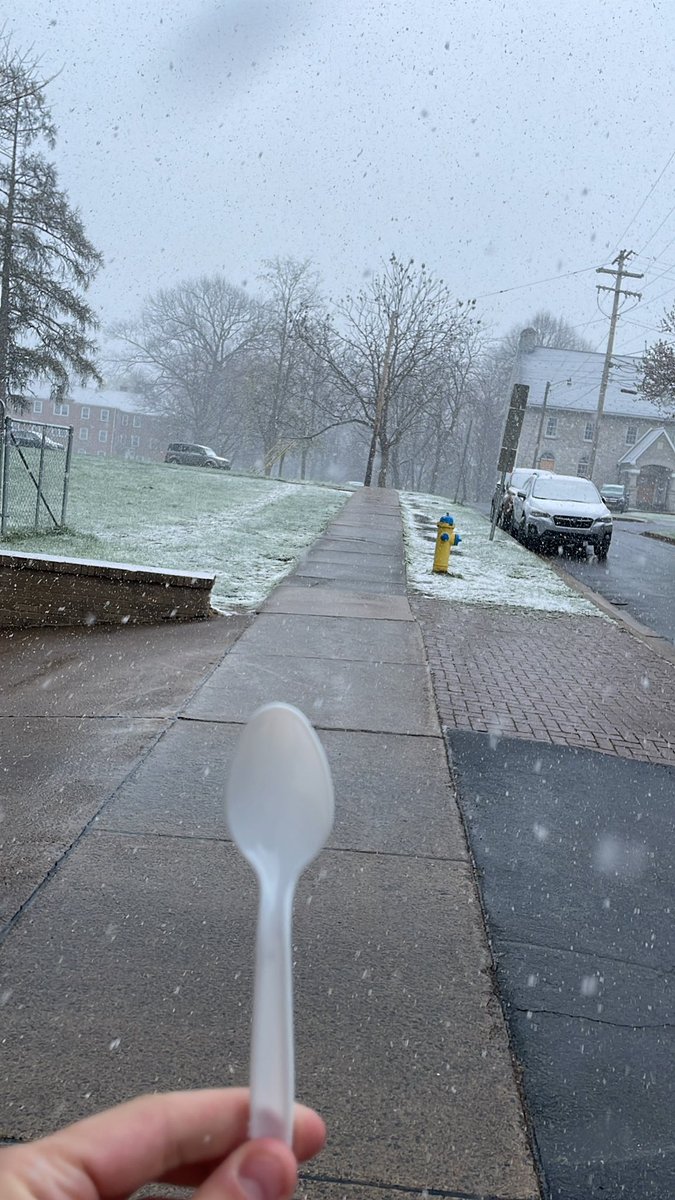 AlexSStarr's tweet photo. @thespiss3 snow day 🤞 https://t.co/taegl8gWaN
