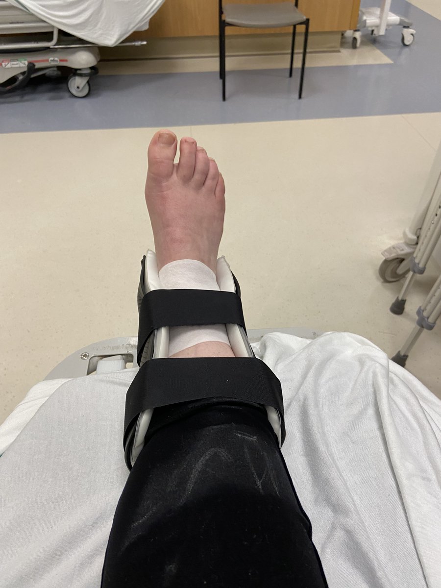 Sara Cuthbertson tweet media