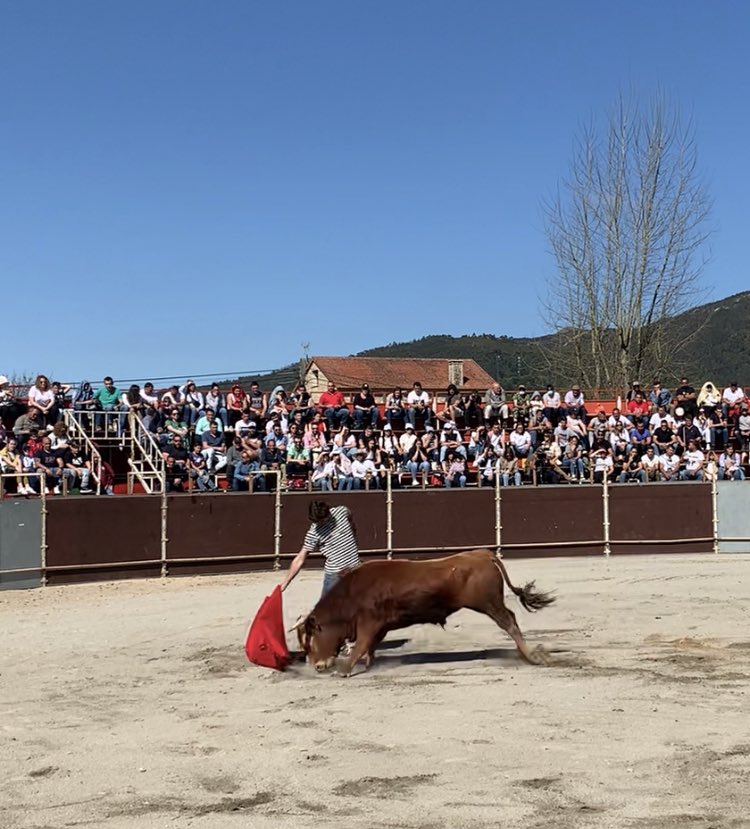 Y derrepente … te encuentras con esa embestida soñada ..! Clase , nobleza , fijeza , transmisión y humillación entre otras muchas cualidades 🔝 seguimos en el camino! Novillo de <a href="/espioja/">ramon rodriguez</a> 🤟🏼⚡️