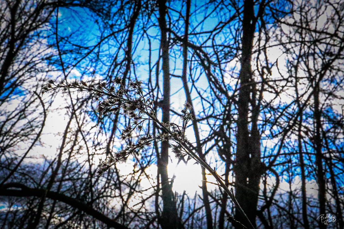 ob_smith's tweet image. #artist #ArtistOnTwitter #Easter #Easter2022 #NaturePhotography #nature #PhotoChallenge2022April #SunPictures #sunsetphotography
