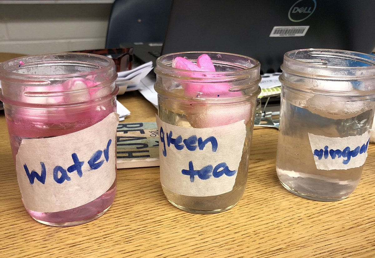 ACT_FCPS tweet media