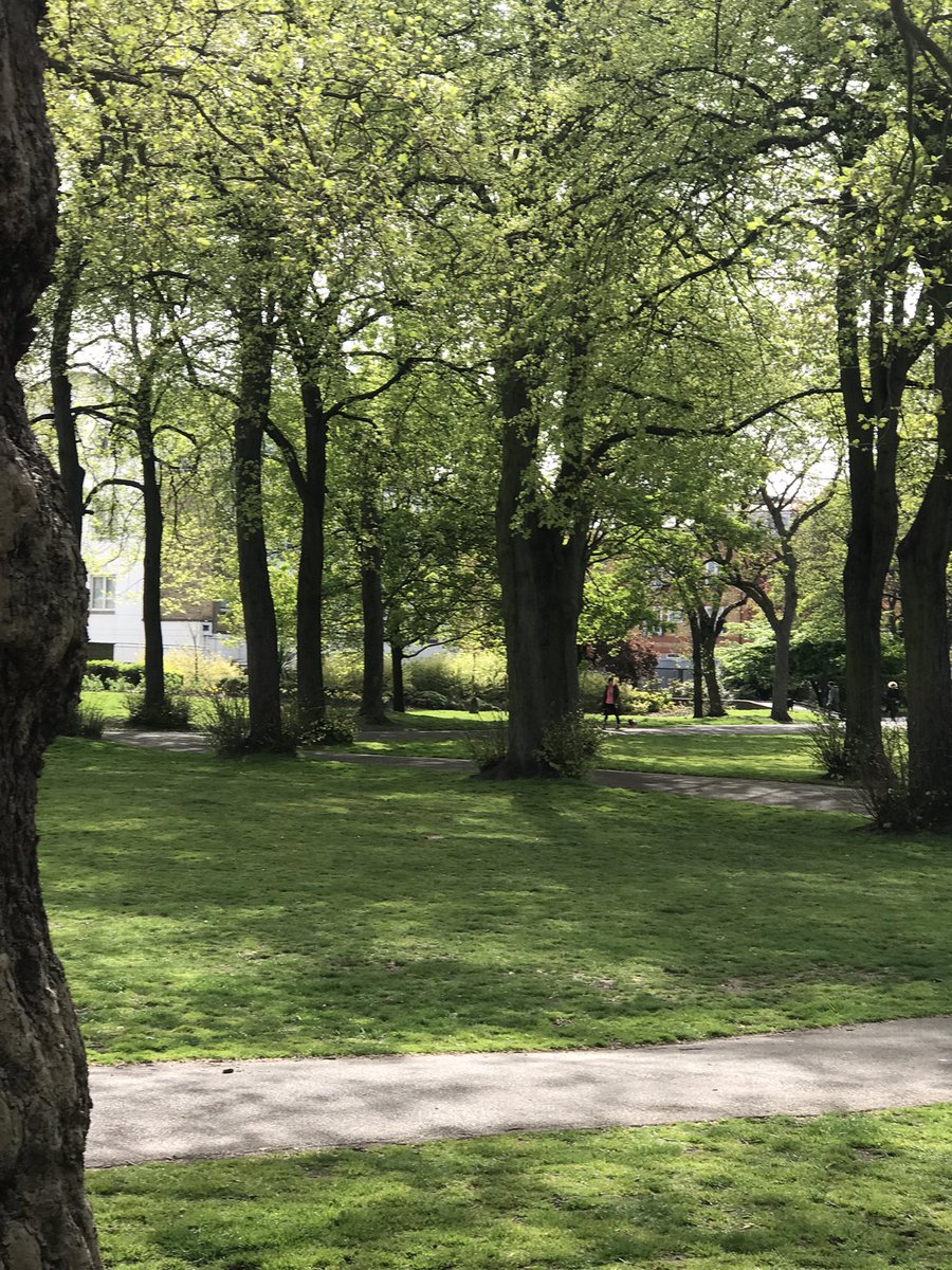 Beautiful run over the Putney Bridge to Wandsworth Park on a beautiful London day!#London #tourist