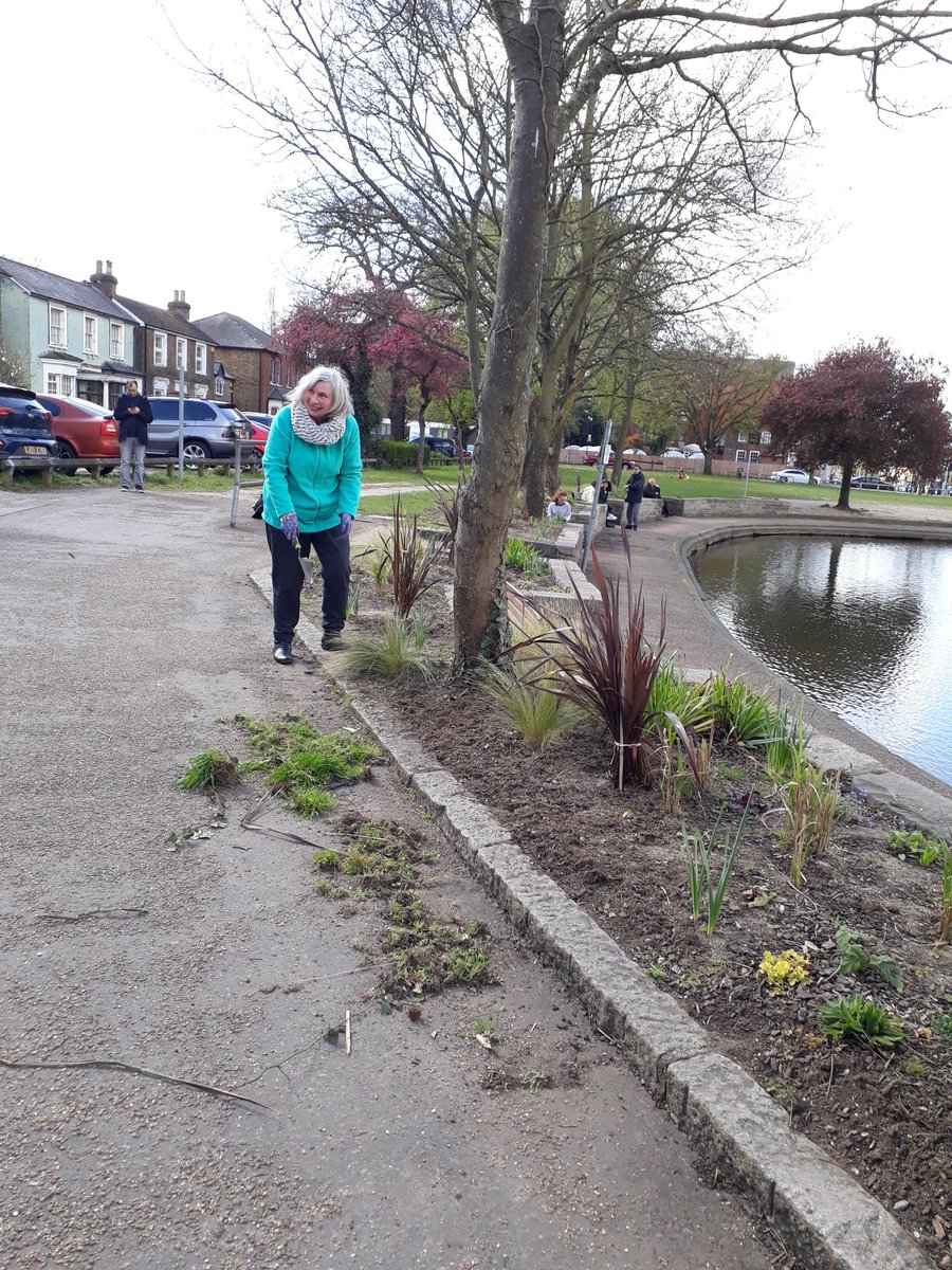 OfFeltham's tweet photo. Another 'Gardening Day' Saturday 23rd April between 10-1pm.  Planting up the new war memorial planters with Red, White and Blue Pentunias to celebrate the Queens Platinum Jubilee. Drinks supplied by @Three_Flames https://t.co/LLfqKTNZOa