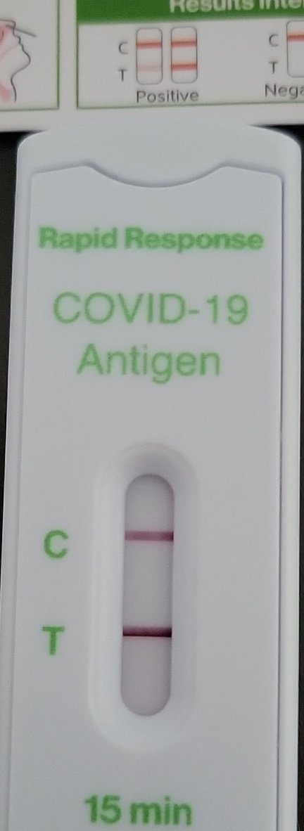 Linus LinusMediaGroup tweet media